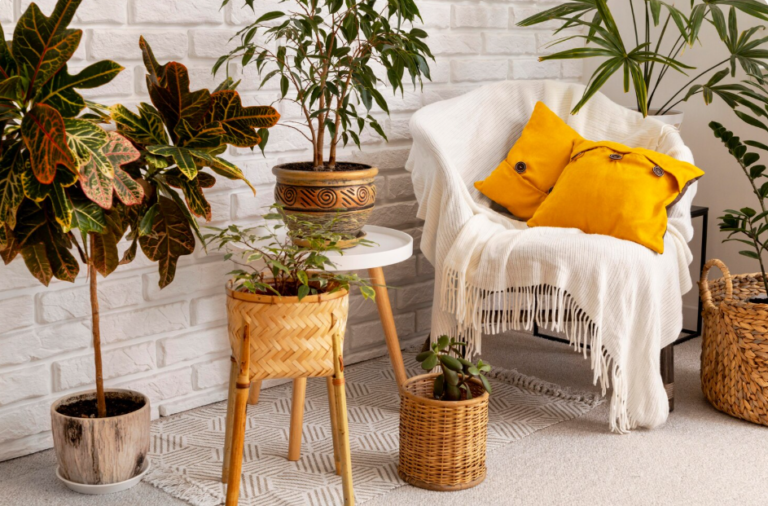 Home Decor Explained How to Create Stylish and Comfortable Living Spaces